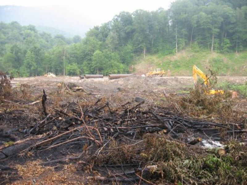 Сотрудники исполнительного ведомства проводили проверку исполнения решений суда об устранении свалок древесных отходов на местах вырубки.
