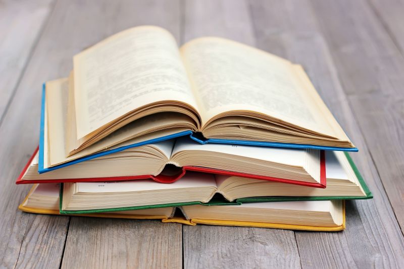 14 февраля отмечается Международный день книгодарения. По всему миру его отмечают с 2012 года. Идея праздника принадлежит американке Эмми Бродмур, основательнице сайта детской книги в США