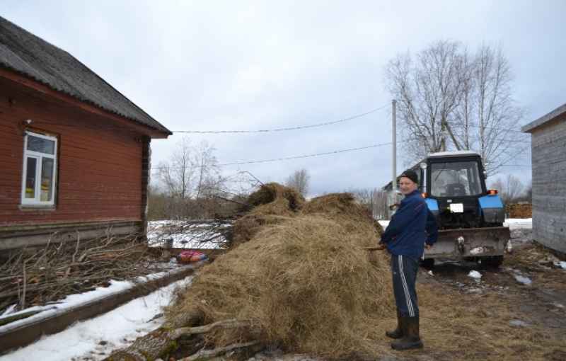 В 2018 году Дмитрий Кузьмин, как начинающий фермер, получил областной грант, на средства которого купил пять коров. 