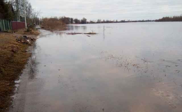За последние несколько дней уровень воды в Волхове резко поднялся.