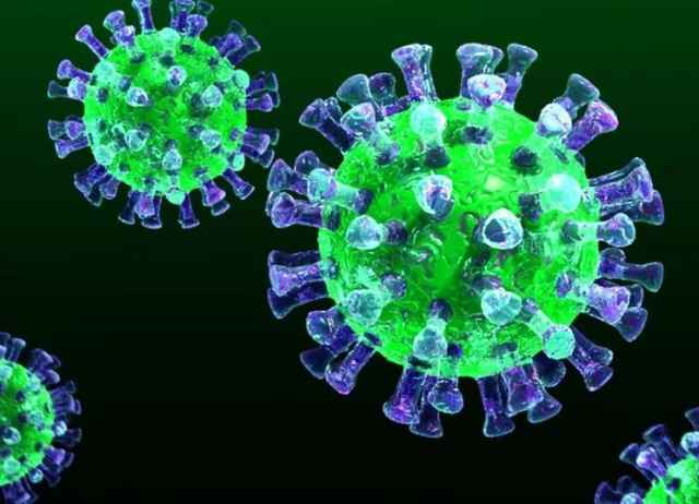 В Новгородской области проведено 249 исследований на коронавирус.
