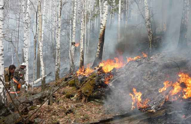 Прогноз риска лесных пожаров составлен на основе многолетних наблюдений.