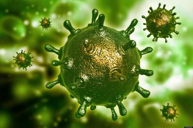 В регионе проведено 2938 исследований на коронавирус.