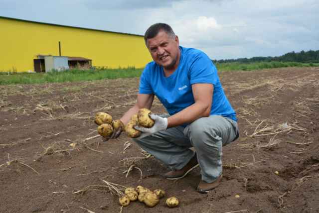 В хозяйстве фермера Ивана Пиреева приступили к посадке овощей.