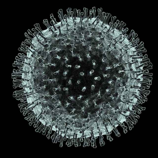 В Новгородской области за последние сутки зарегистрировано 17 случаев заболевания коронавирусной инфекцией.