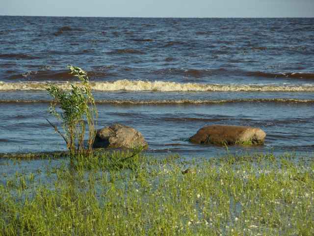 Название «Шелоник» используется у поморов, мореходов Кольского полуострова, Беломорья. На Колыме шелоником также зовётся юго-западный ветер, предвещающий морской шторм. На Байкале — это южный или юго-восточный ветер