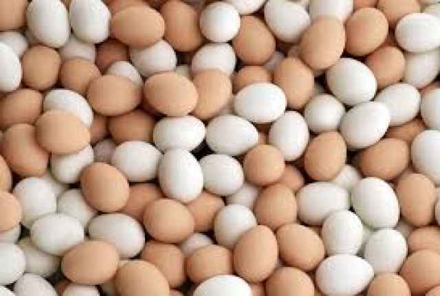 С января по май в Новгородской области произвели 31,6 млн штук яиц, на 49% меньше, чем с января по май 2019 года.