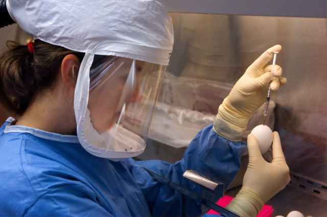 По данным Всемирной организации здравоохранения, в мире коронавирусом заразились более 11,7 миллиона человек