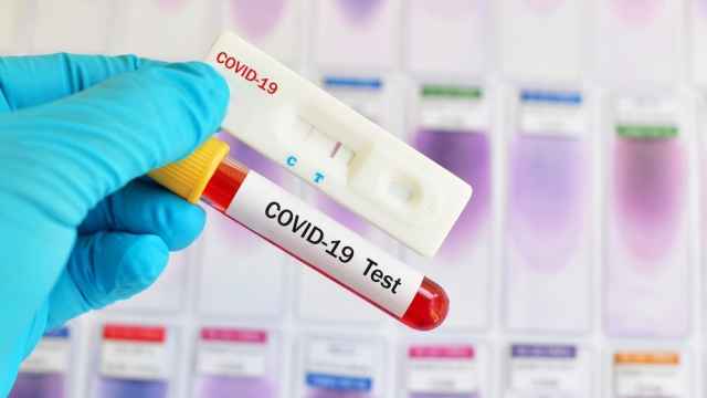 С начала регистрации заболевания в Новгородской области COVID-19 выявлен у 8 036 человек.