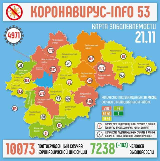 В Новгородской области за весь период пандемии подтвердились 10 073 случая заболевания коронавирусной инфекцией. Переболели и сняты с медицинского наблюдения 7 238 человек.