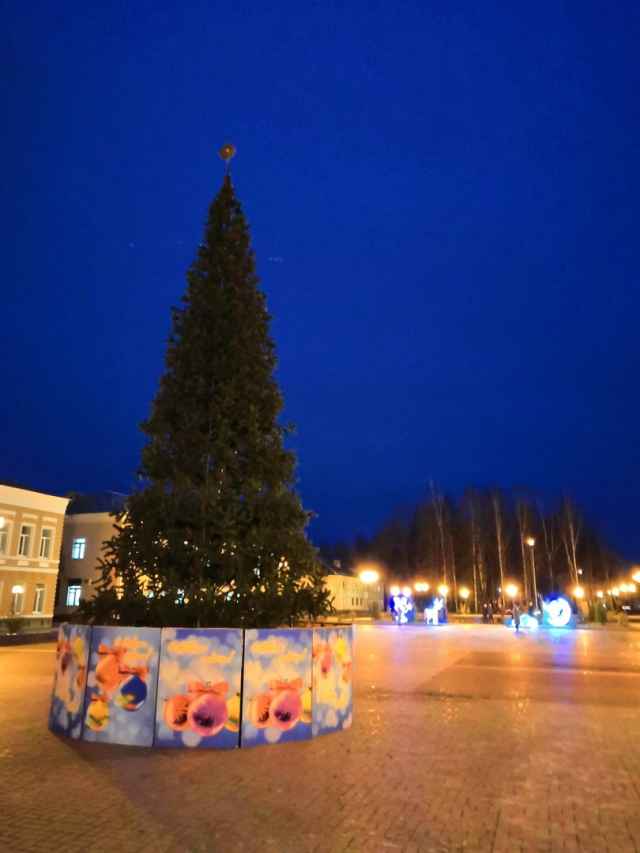 В первый день зимы на центральной площади Старой Руссы установили искусственную ель. Вскоре неподалёку обещают поставить и настоящую