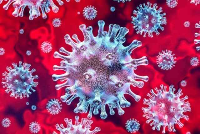 По словам Анны Поповой, российские тест-системы могут выявлять мутировавший штамм коронавируса.
