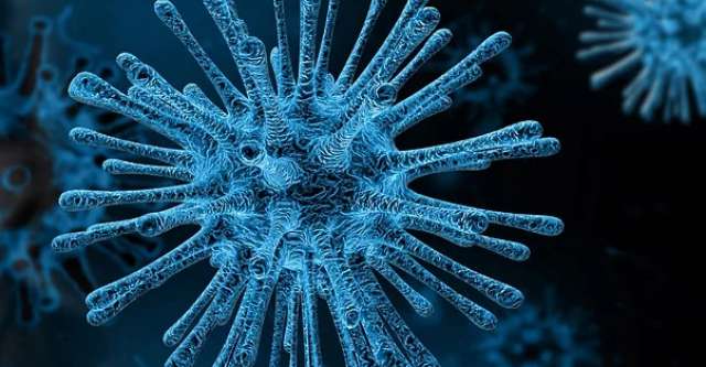 Всего в регионе зафиксировали 19 520 случаев новой коронавирусной инфекции.