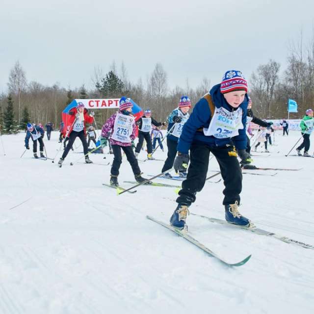 Центральный старт «Лыжни России» в регионе состоялся в Окуловке, где на дистанцию вышли около 300 любителей лыжного спорта.