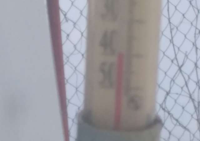 В Любытинском районе температура опустилась почти до -40 градусов.