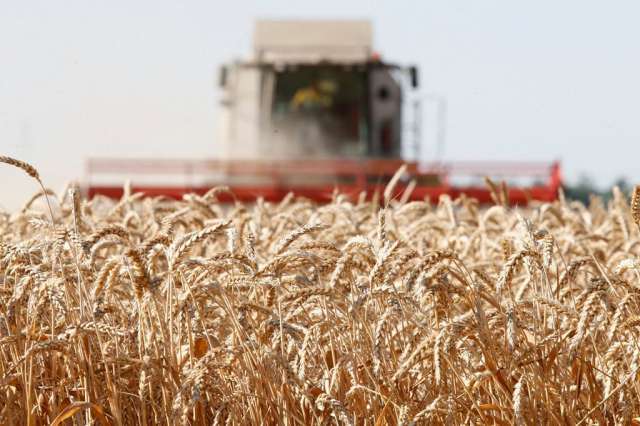Инвестиции кооператива «БИФ» в реализацию проекта по созданию зернопроизводства составляют 18 млн рублей.