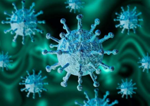 За минувшие сутки в регионе от коронавируса выздоровели 74 человека.