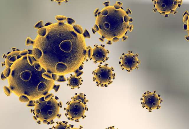 За минувшие сутки в регионе от коронавируса выздоровел 81 человек.