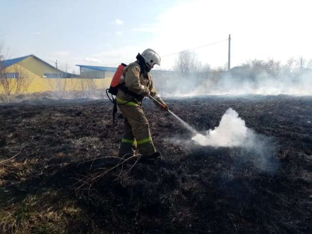 На части территорий Новгородской обалсти установлен особый противопожарный режим