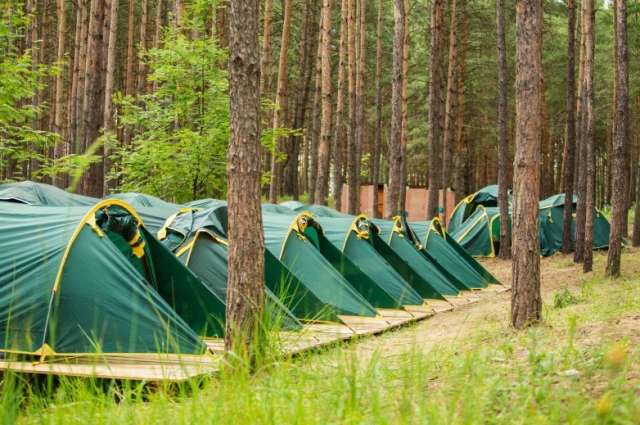 В Новгородской области разрешили работу детских палаточных лагерей