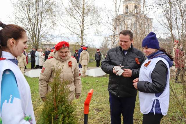 В Новгородской области в год 80-летия начала Великой Отечественной войны планируется высадить почти полмиллиона деревьев
