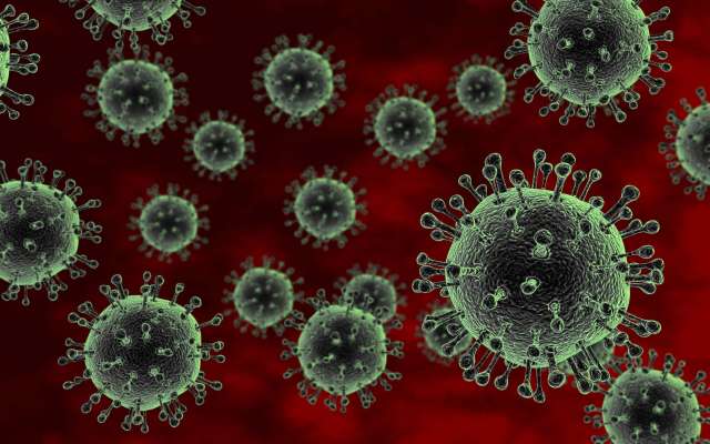 Всего с момента регистрации в регионе COVID-19 в Новгородской области выявлено 30 695 случаев коронавируса.