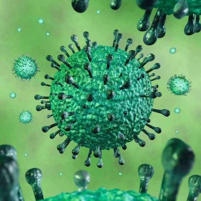 Ещё 33 человека в Новгородской области заразились коронавирусом