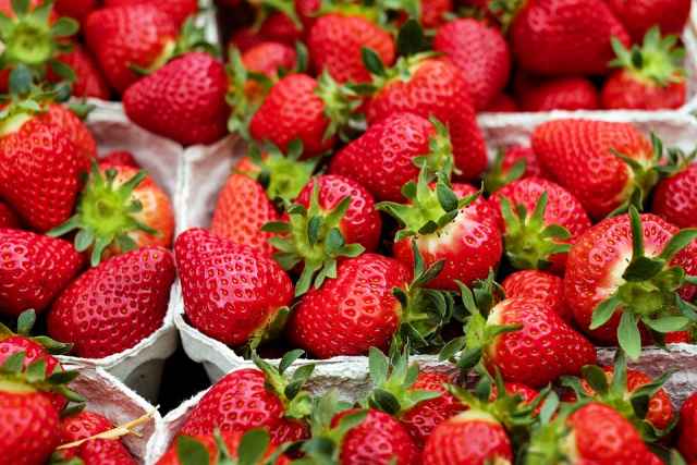 В этом году цена клубники новгородских производителей из-за сложностей выращивания доходит до 350-400 рублей за килограмм. Привозную ягоду можно купить за 200 рублей за кило.