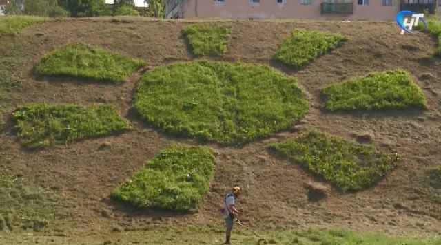 Напротив станции «Скорой помощи» на газоне выстригли фигуры – солнечный круг с лучиками и огромное сердце.