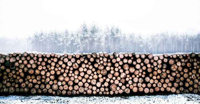 Министерство природных ресурсов, лесного хозяйства и экологии Новгородской области подало иск о возмещении ущерба на сумму 238 миллионов рублей.