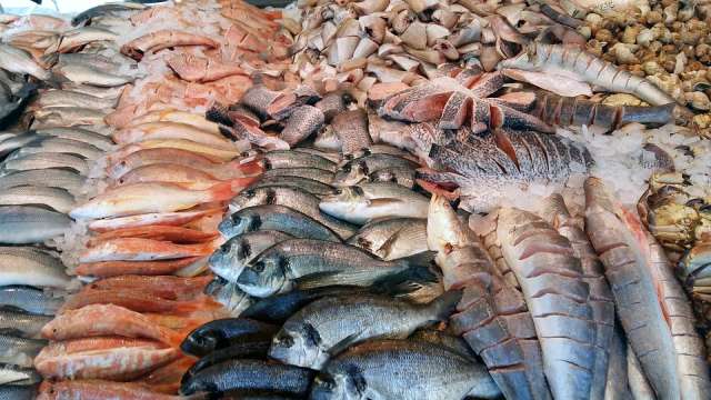 В 2021 году рыбную продукцию  производители Новгородской области отправляют в США, Нидерланды, Германию, Гонконг и Францию, Эстонию, Норвегию, ОАЭ, Японию и Бельгию.