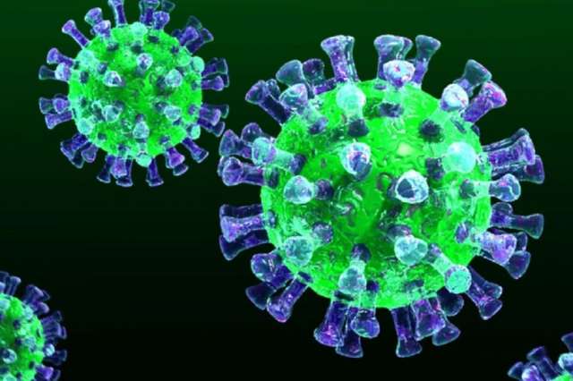 С момента регистрации случаев заболевания COVID-19 в Новгородской области выявлено 43 653 случая коронавирусной инфекции.