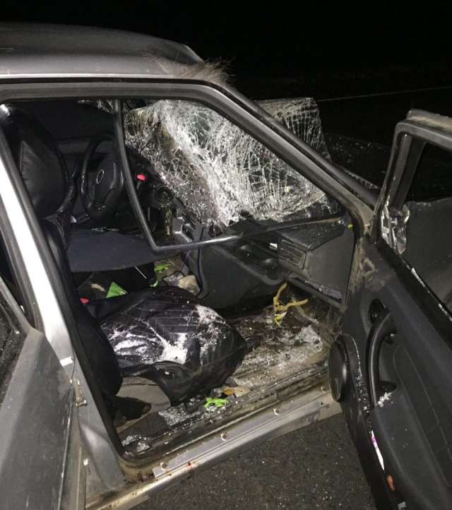 В результате столкновения лось погиб, пострадали водитель и четверо пассажиров авто, машина получила серьёзные повреждения.