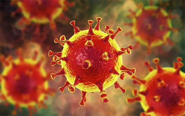 В регионе за последние сутки выписали 117 человек после выздоровления от коронавируса. Общее число переболевших составляет 46 618.