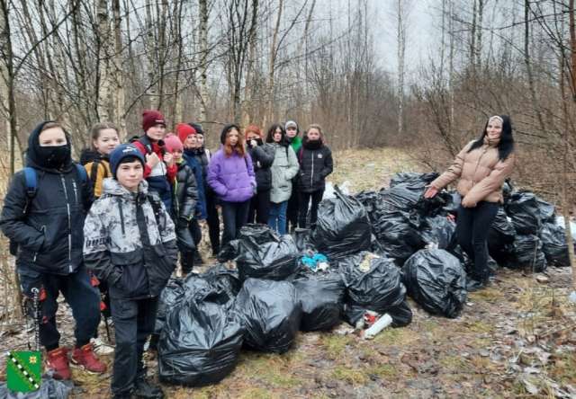 В администрации Маловишерского района жителей призвали беречь окружающую среду и выбрасывать мусор только в специально отведённых местах