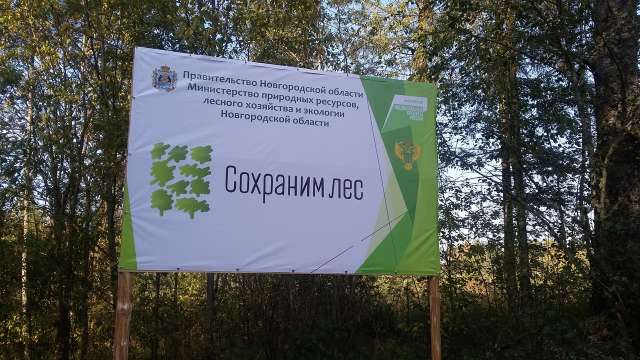 Акция в Новгородской области проводится уже третий год.