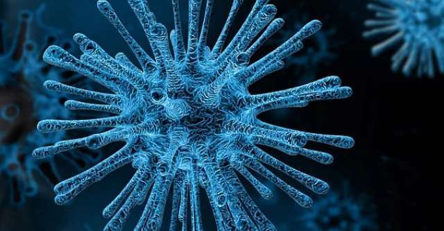 В Новгородской области выявлено 329 новых случаев коронавирусной инфекции