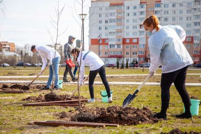 Почти 40 тысяч жителей Новгородской области связаны с волонтёрством.