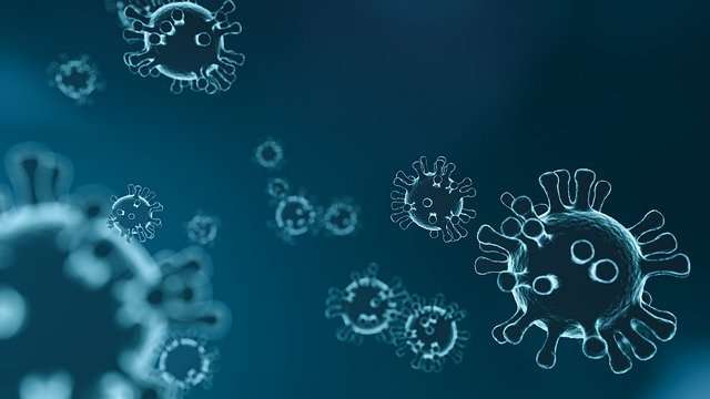 26 ноября Всемирная организация здравоохранения обозначила штамм коронавируса В.1.1.529, обнаруженный на юге Африки, греческой буквой «омикрон».