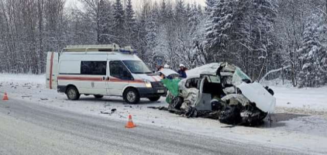 Водитель «Рено» и его пассажирка скончались на месте происшествия до прибытия скорой помощи.