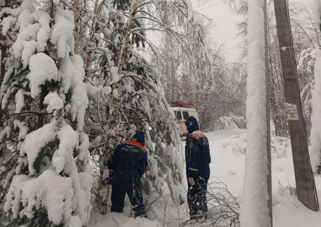 Число обесточенных населённых пунктов после последнего снегопада в Новгородской области выросло до 488.