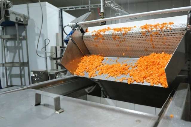 Пока технологию шоковой заморозки тестируют на моркови.