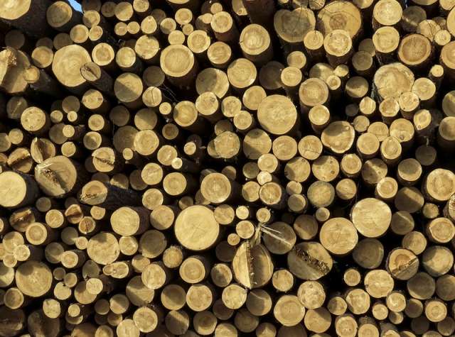 Одной из причин замедления роста цен на стройматериалы стало введение экспортных пошлин на отдельные виды древесины и металл.