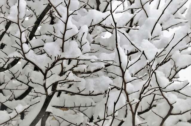 Завтра, 16 января, ночью местами и в конце дня в большинстве районов ожидается небольшой снег.