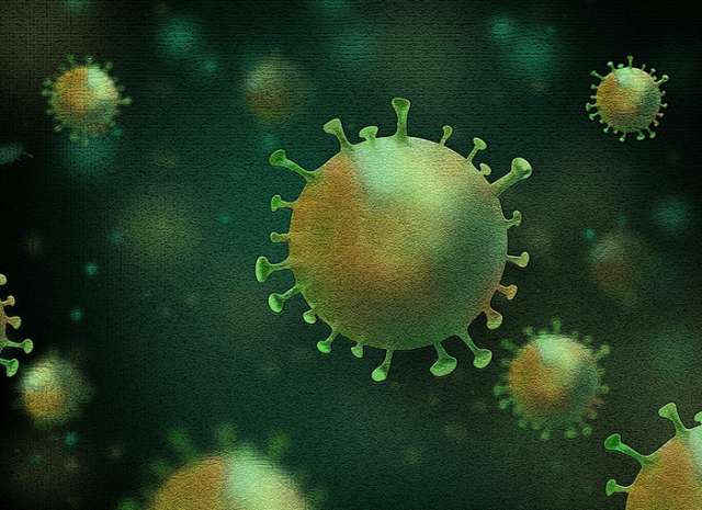 Заболевание новым штаммом коронавируса «омикрон» выявили у жителей Великого Новгорода и 14 районов области.