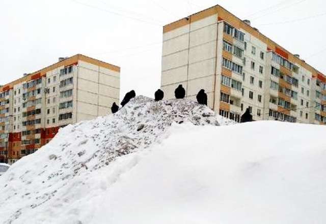В Великом Новгороде выпало 28 мм снега – месячная норма января.