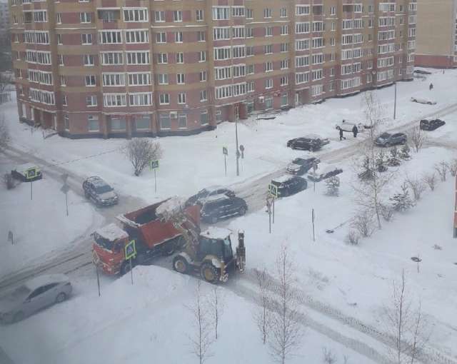 За последние пять дней в Великом Новгороде выпала месячная норма осадков.