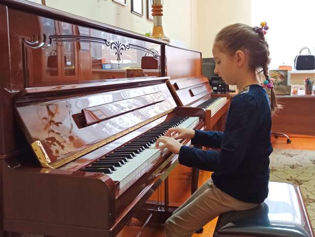 Мошенской школе искусств подарили фортепиано