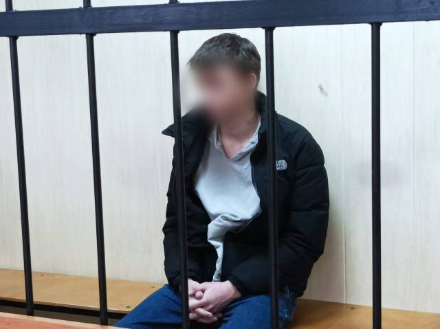 Подозреваемый доставлен в Новгородскую область, ему избрана мера пресечения в виде заключения под стражу.