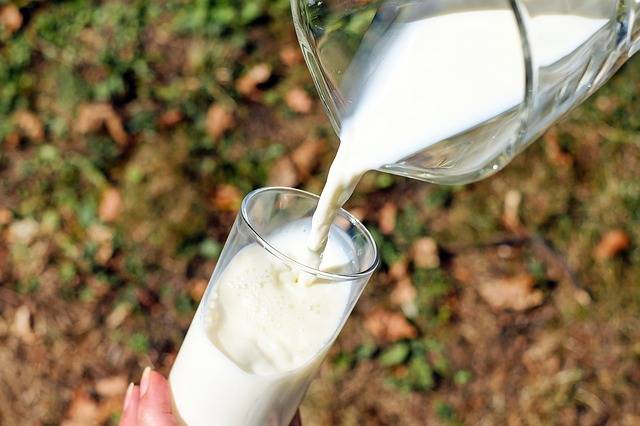 Один из приоритетов регионального минсельхоза – поддержка производства молока.
